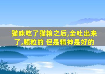 猫咪吃了猫粮之后,全吐出来了,颗粒的 但是精神是好的